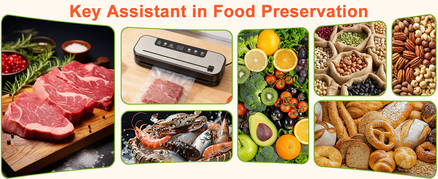 Вакууматор SHINER 6-в-1 для сухих та вологих продуктів, компактний вакуумний пакувальник з цифровим дисплеєм та набором пакетів, сріблястий