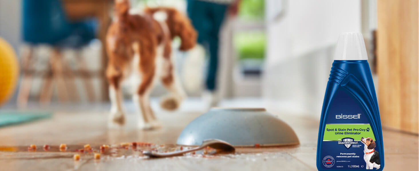 Портативний мийник для килимів Bissell SpotClean C5: для дому, авто, човнів та диванів