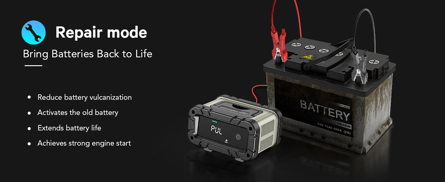 Автоматичний зарядний пристрій для акумуляторів з температурною компенсацією (6A), червоний. Підходить для авто, вантажівок, мотоциклів, газонокосарок, човнів та морських акумуляторів.