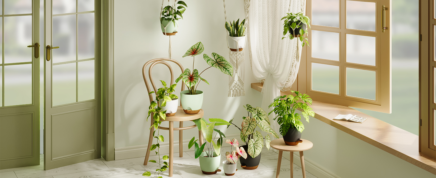 Набір горщиків для квітів Bamworld 6 шт. з автополивом, 12.7-20.3 см, з підставкою, для кімнатних рослин та розсади