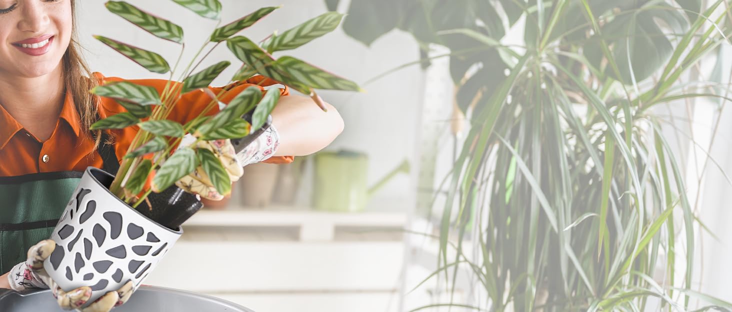 Квітчанка KONZEPT 30 см, 12 л, пластик, для дому та балкону, чорно-золота