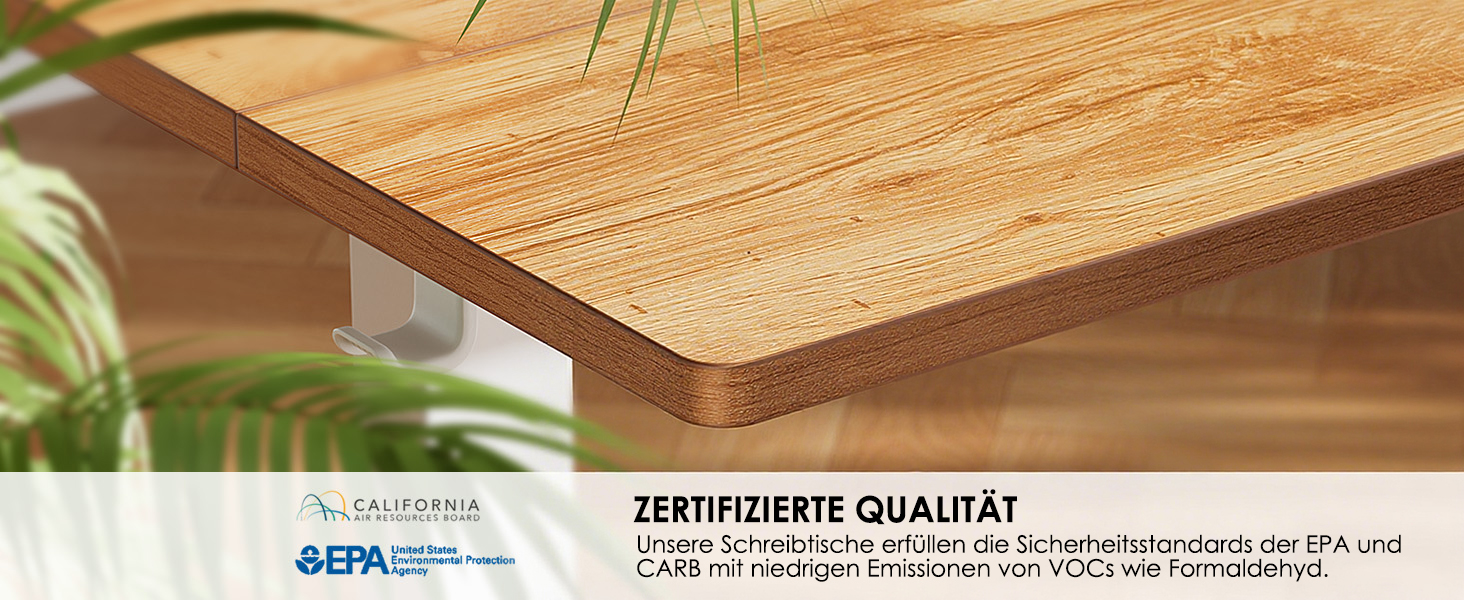 Електричний регульований стіл ErGear 140 x 70 см, з пам'яттю, для дому та офісу, світло-сірий, з підключенням