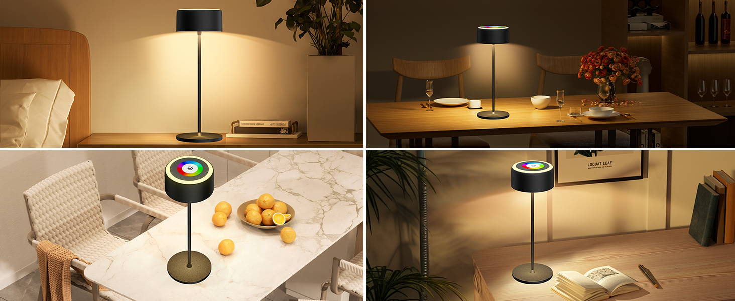 Бездротова LED-лампа TYEE з регулюванням яскравості, акумуляторна, 3000-6000K+RGB, USB-C, водонепроникна IP54, для дому та вулиці, алюміній, чорна