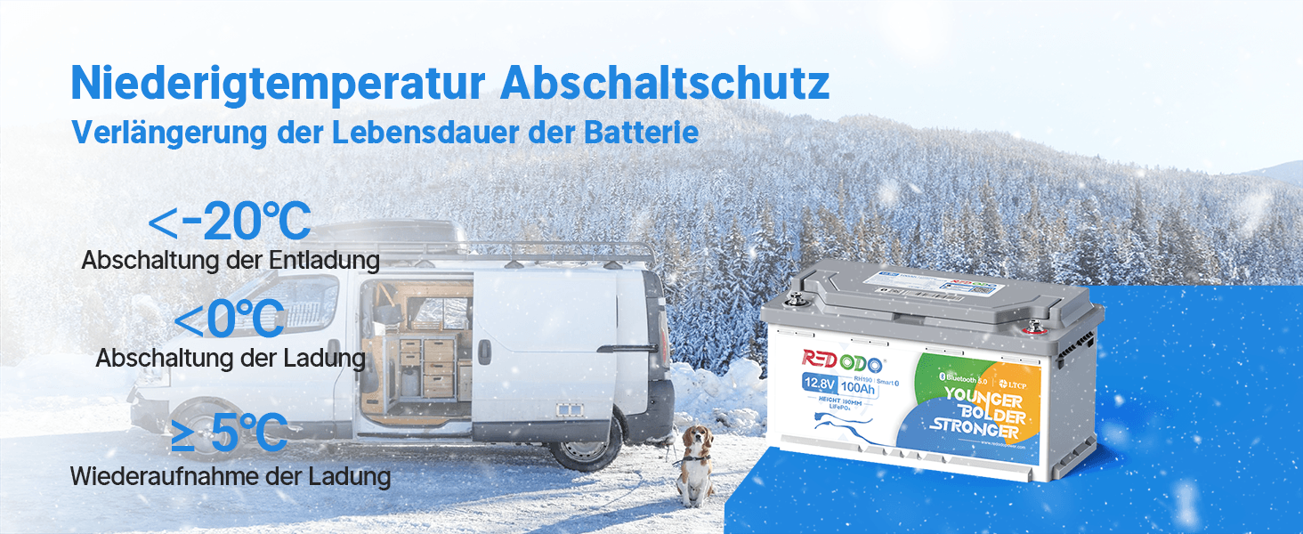 LiFePO4 акумулятор Redodo 12V 100Ah для підсидіння з Bluetooth та Smart BMS 100A, DIN H8/L5 (H190)