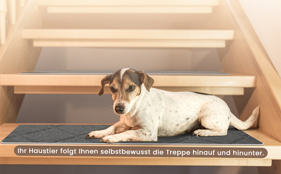 Килимочки на сходи Homwiz, самоклеючі, 15 шт., антиковзаючі, нарізаються, багаторазові, для захисту дітей, домашніх тварин та літніх людей, темно-сірий, 55 см x 19 см