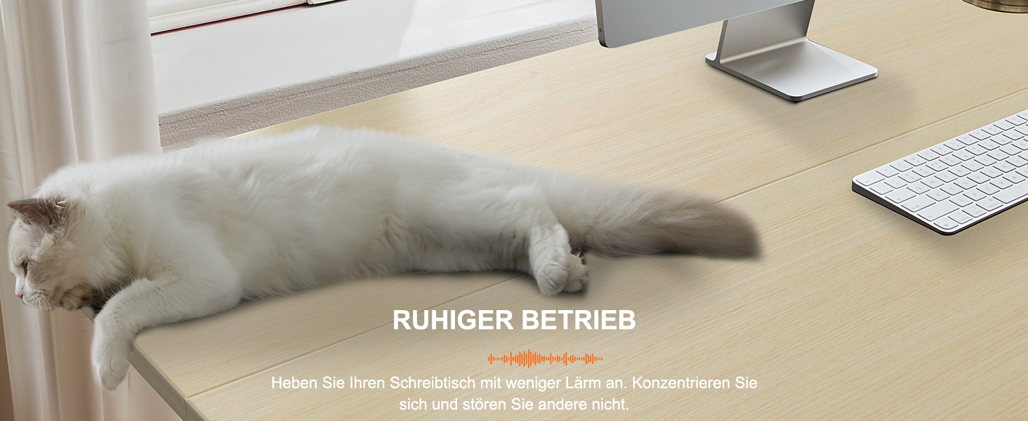 Електричний регульований стіл ErGear 120 x 60 см з пам'яттю, для дому та офісу, світле дерево