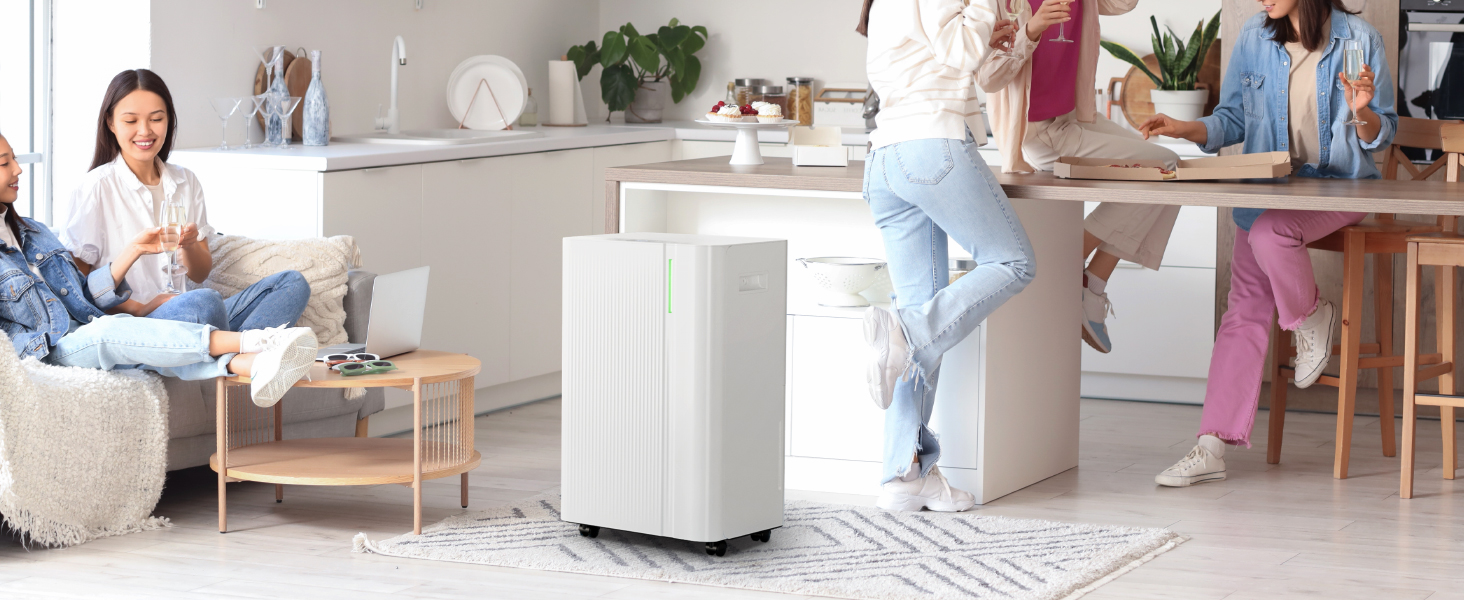 EUHOMY Електричний осушувач повітря 20л/день, для підвалу з відведенням води, тихий, з таймером та авторозморожуванням, для квартири 50м² та 150м³