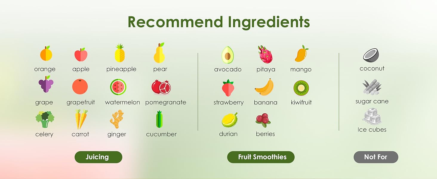 Фреш-прес Fretta Slow Juicer: повільний соковитискач з нержавіючої сталі, 135 мм, 1.8 л, з функцією реверсу, BPA Free, 250W сірий