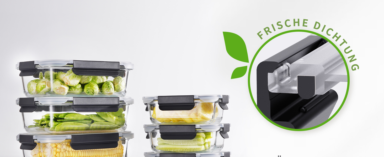 Набір контейнерів для зберігання продуктів FE1537-чорний (20 шт.): контейнери + кришки, миюча посуду, для мікрохвильовки та морозильника, герметичні