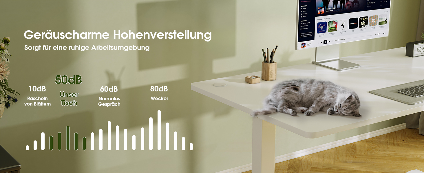 Електричний регульований стіл Flamaker з пам'яттю, ігровий стіл з USB-зарядкою (160 x 60 см)