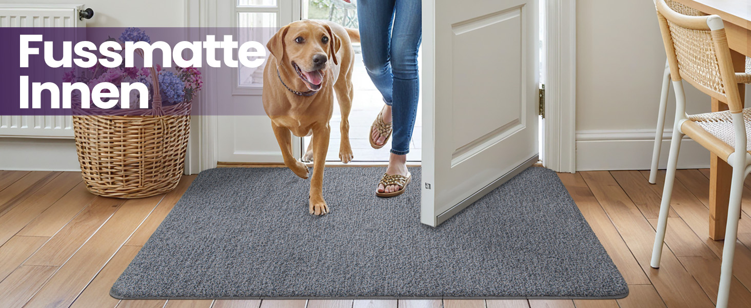 Килимок для дому DEXI 80 x 120 см, антиковзаючий, для прибирання бруду, миється в пральній машині, поглинаючий, для собак, вхідний килимок, для порогу та коридору (60 x 180 см, сіро-блакитний)