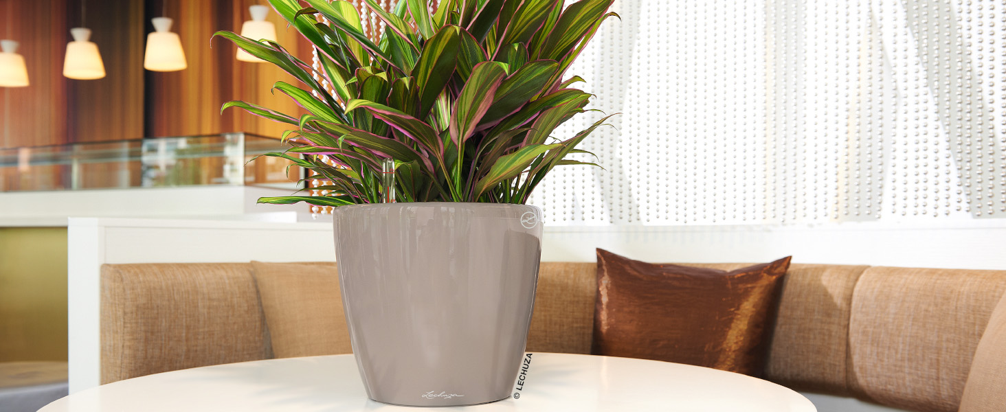 Кашпо Lechuza Classico Premium 21 LS, Комплект, Білий, 22x22x20 см, Високий Глянцевий, Одиничний