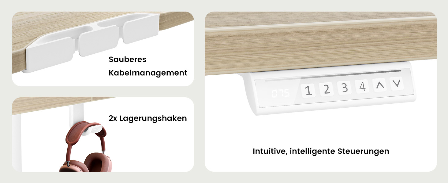 Електричний регульований стіл ErGear 100x60 см, світле дерево, з пам'яттю та з'єднувальною пластиною для дому та офісу