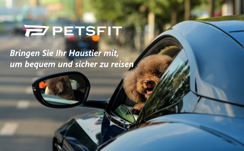 Автокрісло для собак Petsfit для великих собак або 2 маленьких собак, автокрісло для собак заднє сидіння знімна миється двостороння матова кошик для собак автомобіль з 2 ременями безпеки L сірий