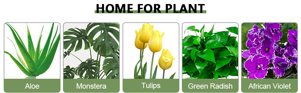 5 кашпо з пластику з системою поливу, 17.8/16.5/15.2/13.9/12.7 см. Самополивні горщики з підставкою, круглі, для квітів, сукулентів, кактусів, для дому, балкону, саду. Білий, коричневий колір
