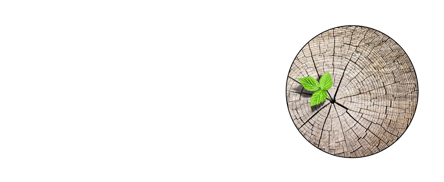 Набір скляних банок для зберігання з кришкою, 4 шт. (300, 500, 700, 1000 мл) | Герметичні, захищені від молі | Для спецій та продуктів харчування