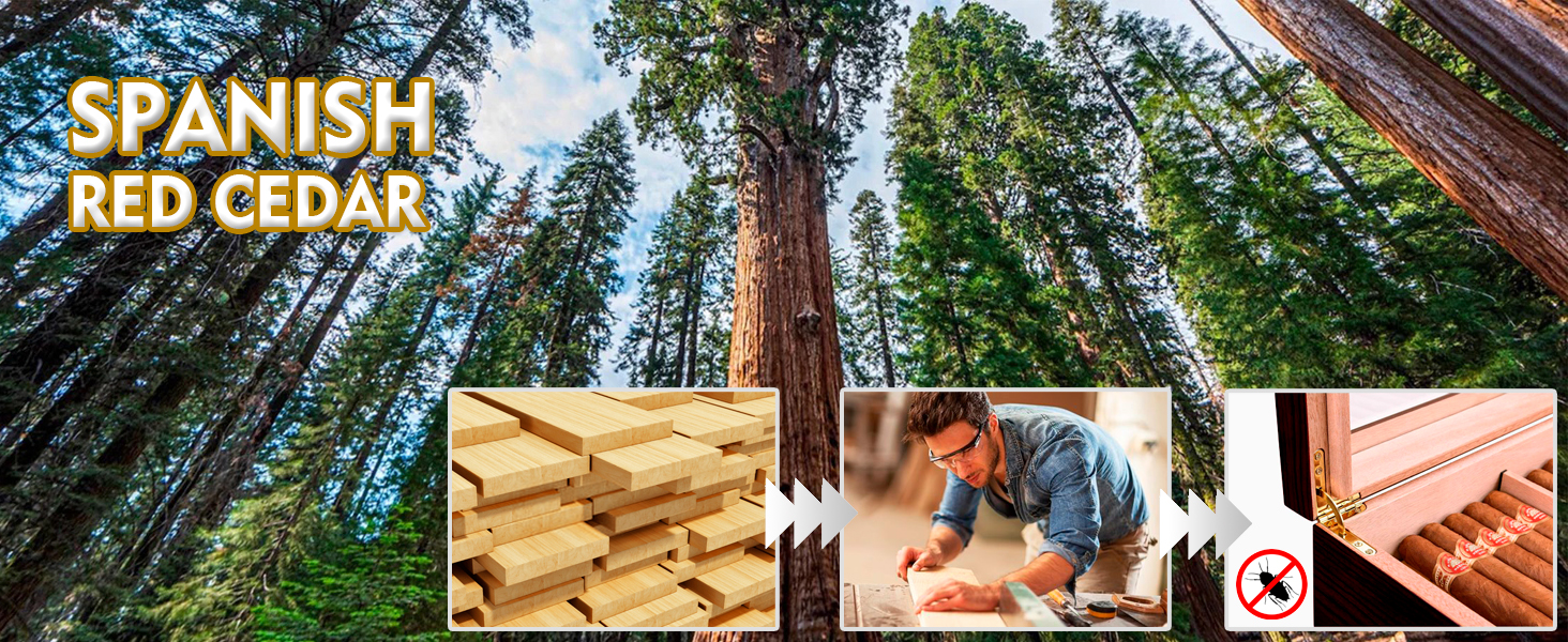 Вологостійкий вологомір для сигар, дерев'яний ящик для сигар з іспанської кедру, вологомір, роздільники, аксесуар для сигар, подарунок для чоловіків (30-50 сигар), чорний