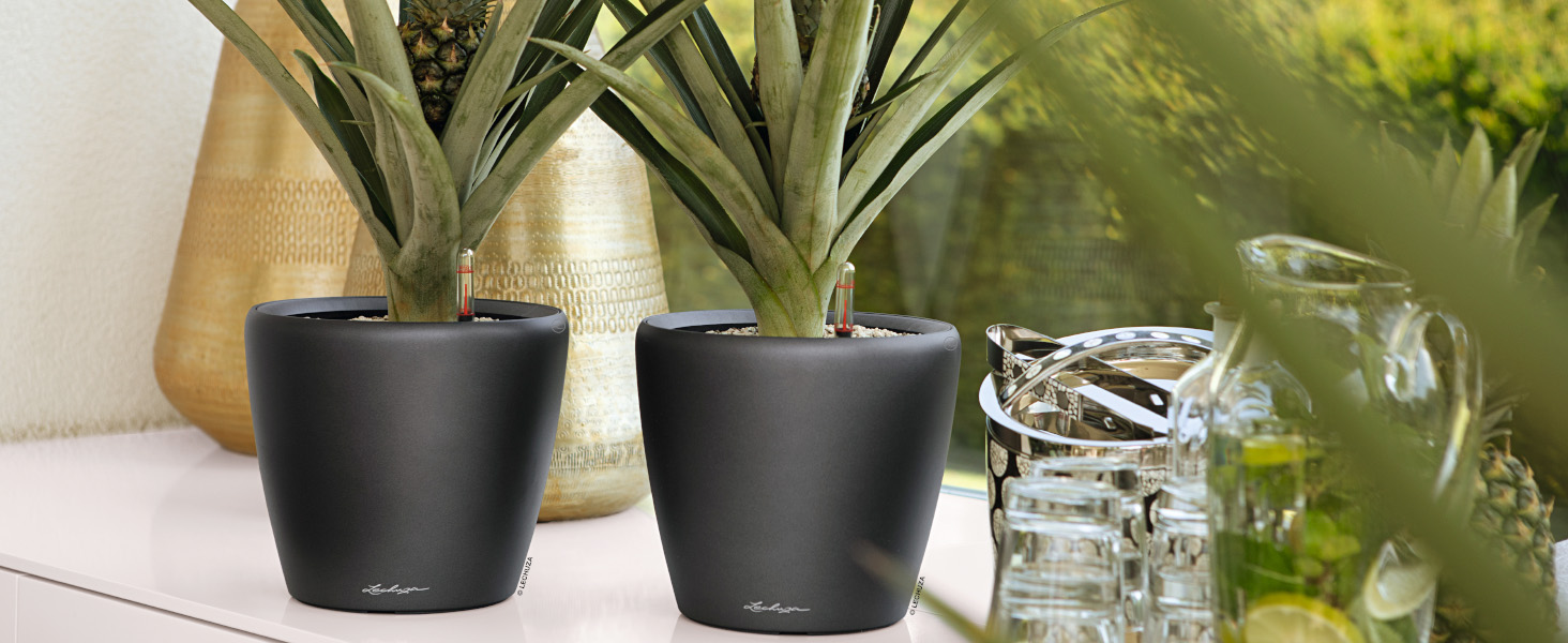 Кашпо Lechuza Classico Premium 21 LS, Комплект, Білий, 22x22x20 см, Високий Глянцевий, Одиничний