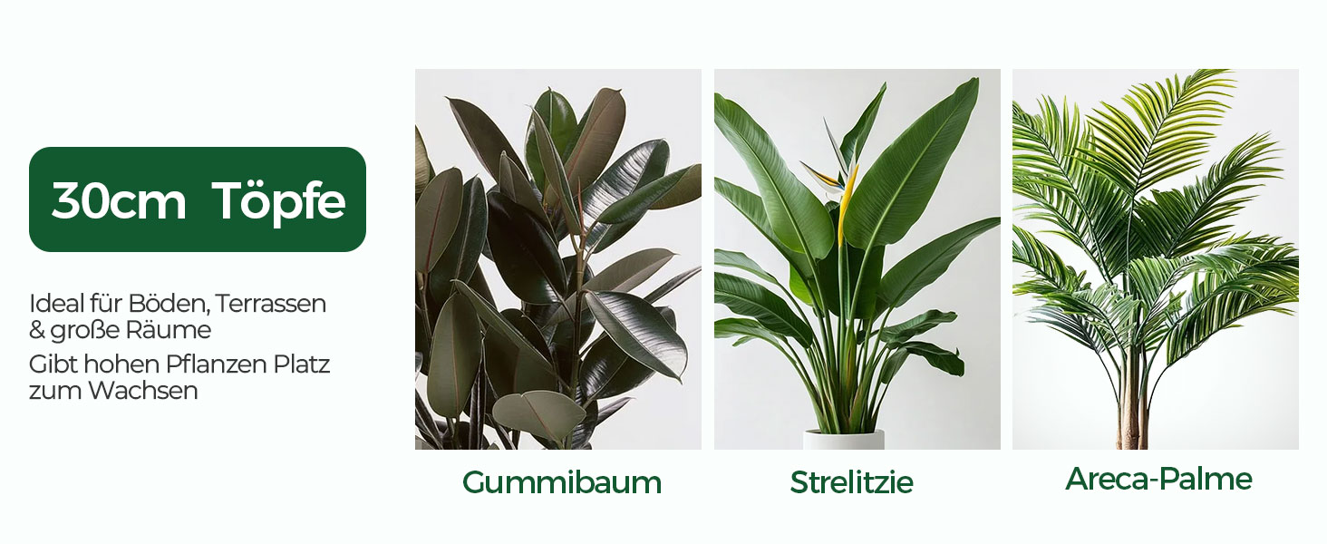 Набір 4 самополивні горщики для квітів T4U з індикатором рівня води, легкі у догляді, великі (30 см, білий)