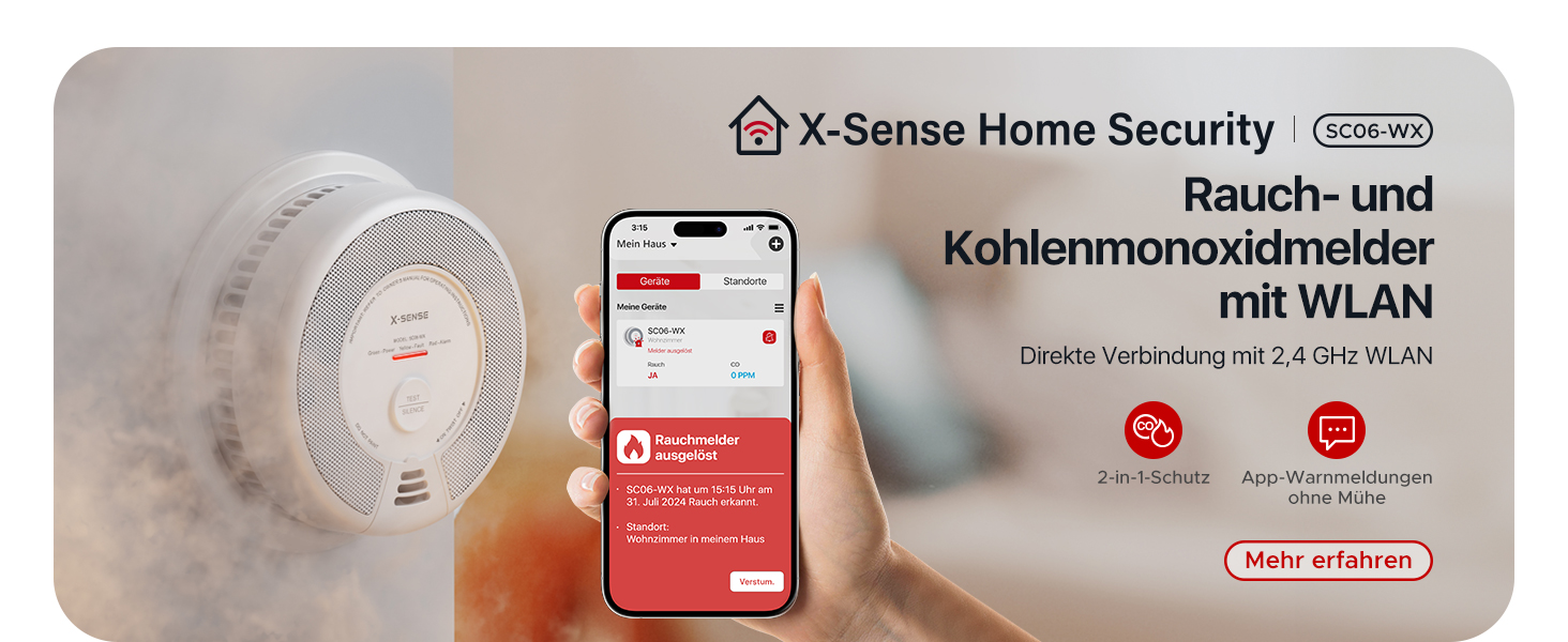 X-Sense Детектор диму та CO з Wi-Fi, 2-в-1, SC06-WX, 1 шт.