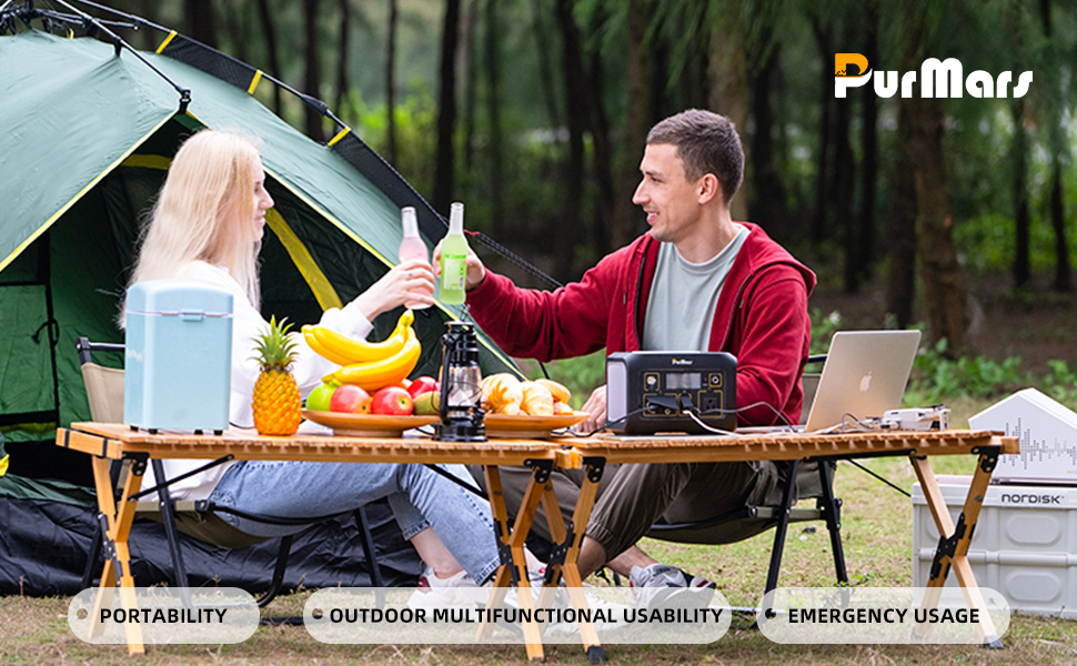 Портативна електростанція 300W (макс. 500W), 288Wh (90000mAh) з чистою синусоїдою 230V, LiFePO4 акумулятор, для кемпінгу, подорожей та надзвичайних ситуацій. P300E