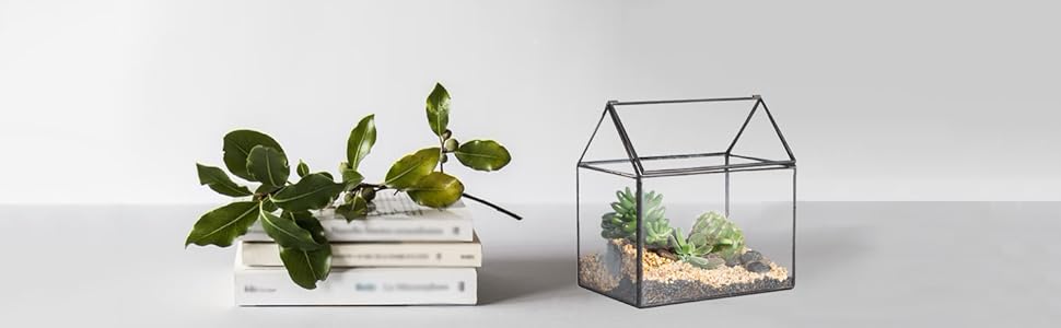 Геометричне терассіум NCYP 15,5x11x16 см, скляний, з кришкою, для сукулентів та моху, чорний