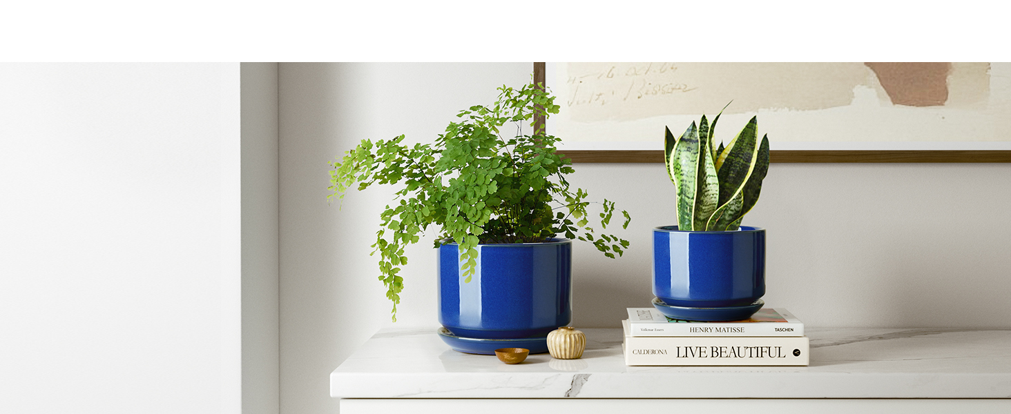 Набір керамічних горщиків LE TAUCI 3 шт. (11, 13, 17 см), горщики для кімнатних рослин з підставкою та дренажним отвором, реактивна глазур (бежевий, сапфіровий блакитний)