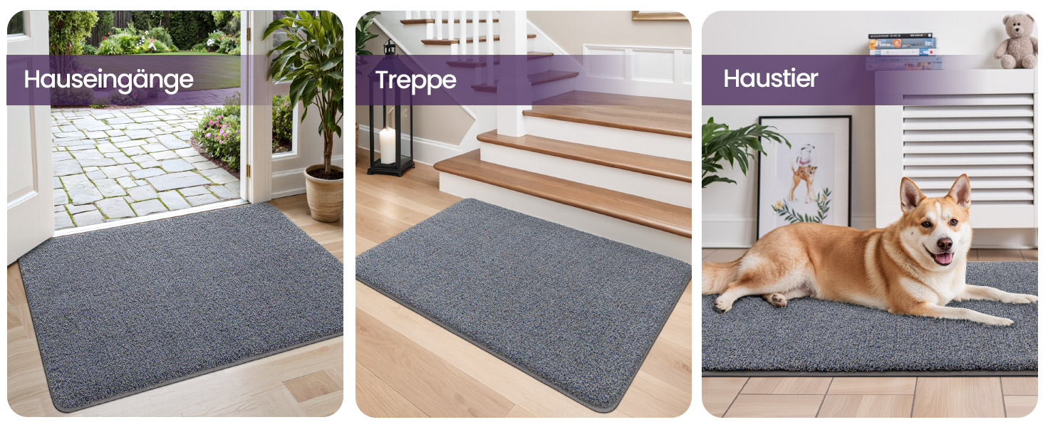 Килимок для дому DEXI 80 x 120 см, антиковзаючий, для прибирання бруду, миється в пральній машині, поглинаючий, для собак, вхідний килимок, для порогу та коридору (60 x 180 см, сіро-блакитний)