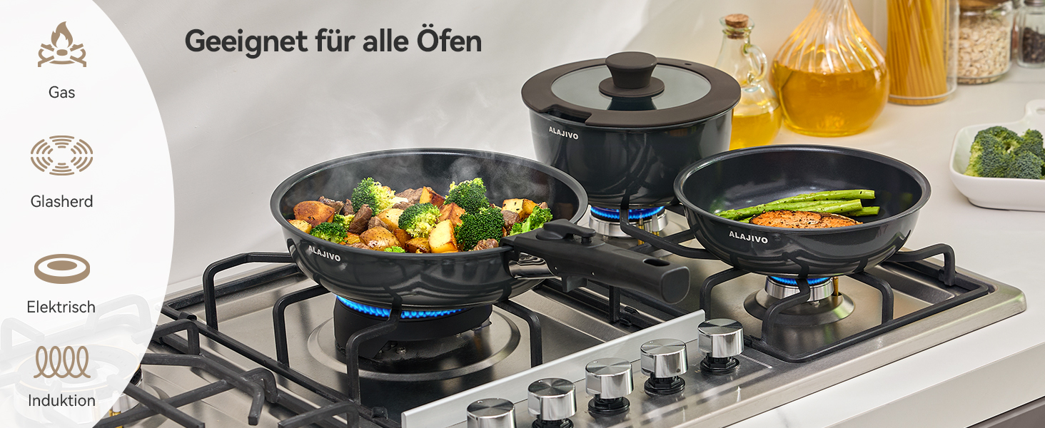 Набір каструль та сковорідок 9-ти частинний з антипригарним покриттям, для всіх типів плит, включаючи індукційні, сумісний з духовкою (темно-сірий)