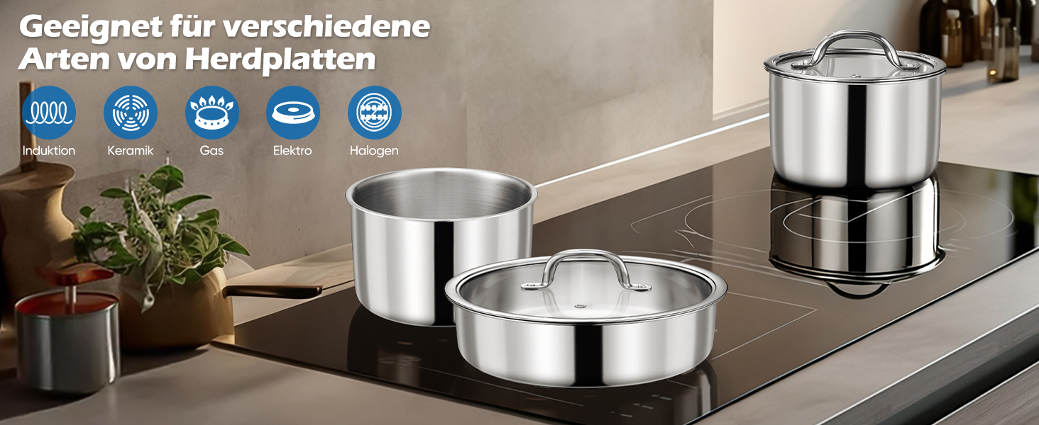 Набір каструль Joyfair, 9 предметів, з нержавіючої сталі, знімний ручка, для індукційних плит, сумісний з усіма типами плит, можна використовувати в духовці та мити в посудомийній машині