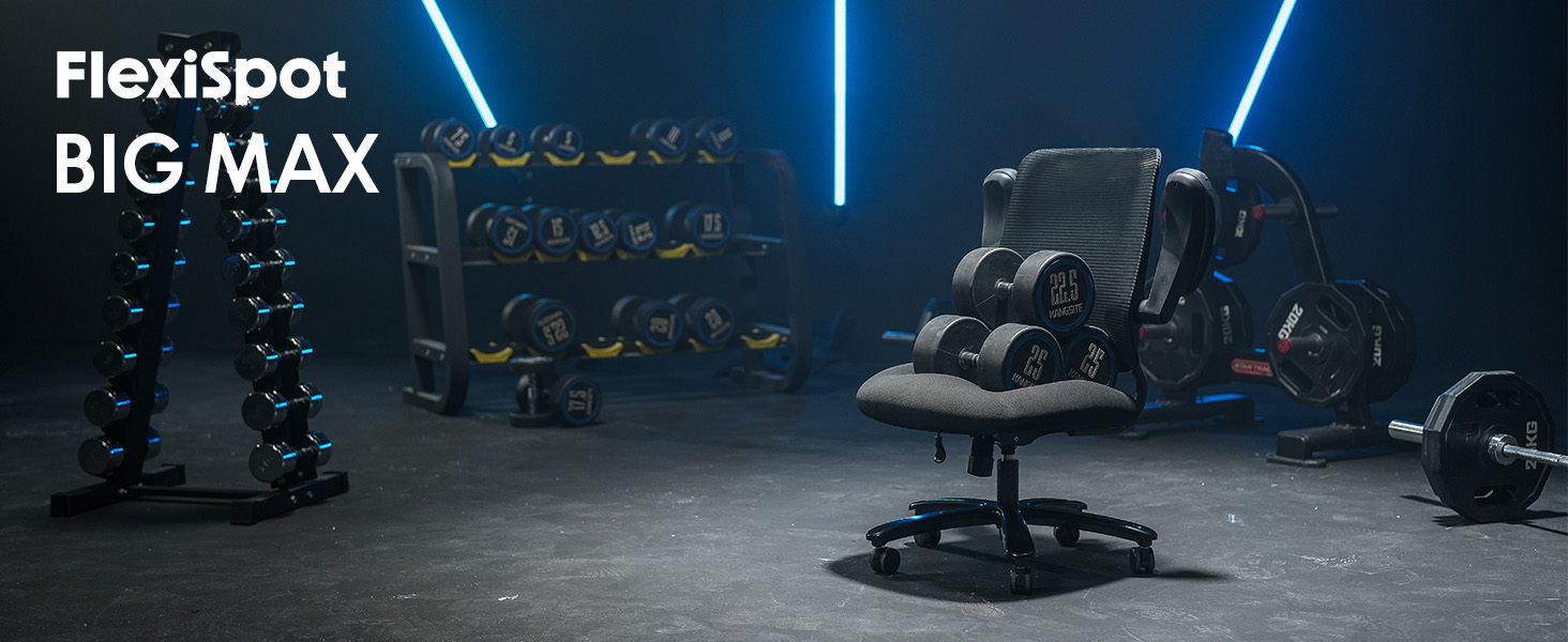 Крісло офісне FLEXISPOT чорне, 227 кг, регульовані підлокітники, для дому/офісу, з товстим сидінням, поворотне, OS2