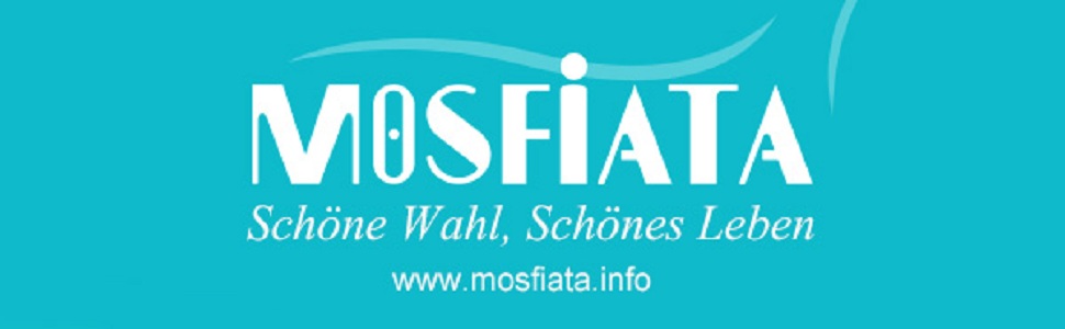 Ніж кухарський MOSFiATA 20 см з нержавіючої сталі EN.4116, професійний, з захистом пальців та точилкою в подарунковій коробці