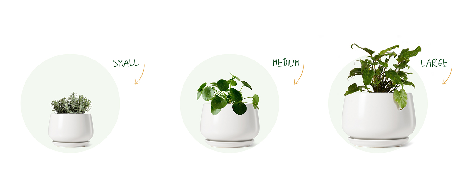 Керамічні горщики LE TAUCI з підставкою, 10+13+16 см, набір з 3 горщиків для кімнатних рослин, з дренажним отвором (білий)