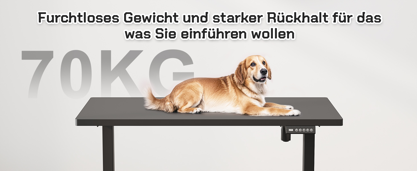 Стол офісний JUMMICO з регулюванням висоти, 100x160 см, 3 положення пам'яті, білий/чорний