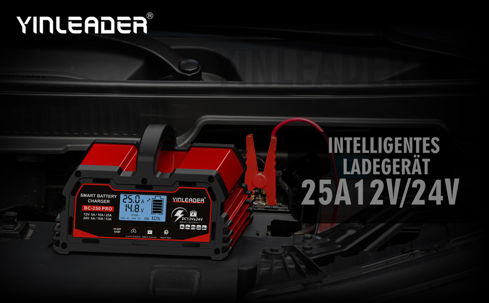 Зарядний пристрій для акумулятора 25A 12V/24V - Автоматичний зарядний пристрій для акумулятора з LCD-дисплеєм, підходить для LiFePO4 акумуляторів