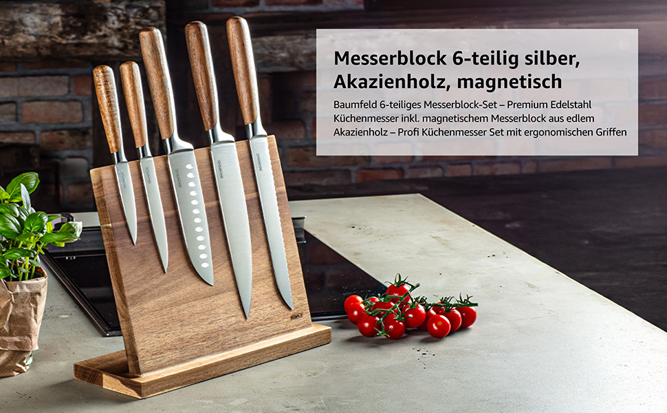 Набір ножів у блоці (6 шт) з нержавіючої сталі преміум-класу. Кухонні ножі з магнітним блоком з акації. Професійний набір кухонних ножів з нержавіючої сталі, сріблястого кольору.