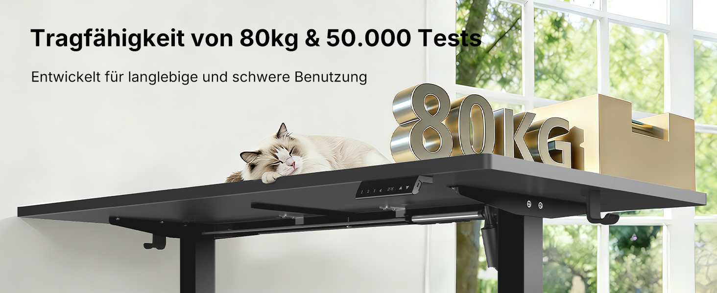 Регульований стіл HUANUO 160x80 см з USB-C/USB-A, чорний - для дому та офісу