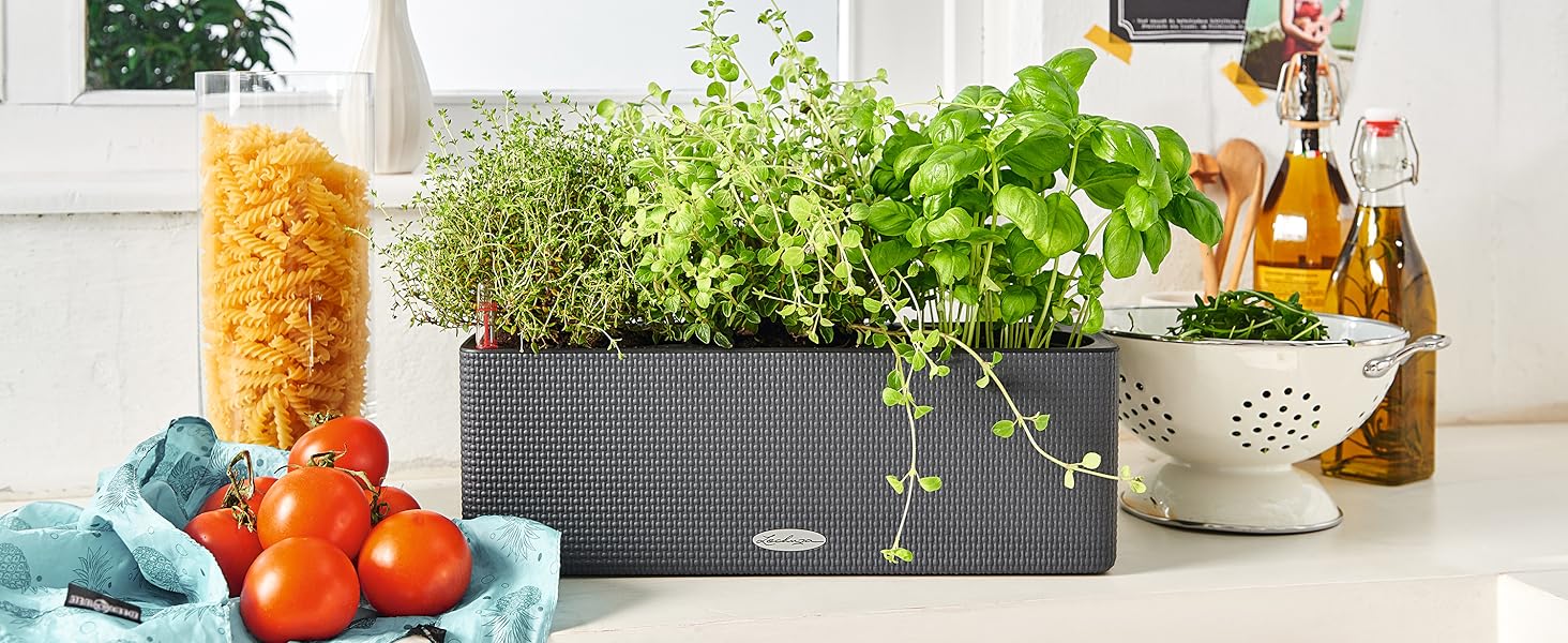 Горщик LECHUZA CUBE Color Triple білий 13680, 40x14x13,5 см - для квітів та зелені