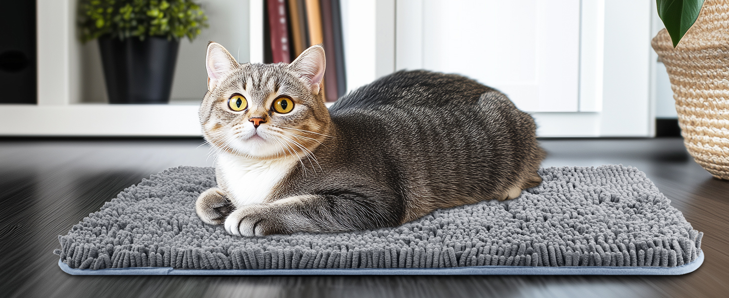 Комплект килимків для ванної кімнати Digiroot (2 шт.) - неслизькі, швидковисихаючі, поглинаючі, 40x60 см, 50x80 см, темно-сірий