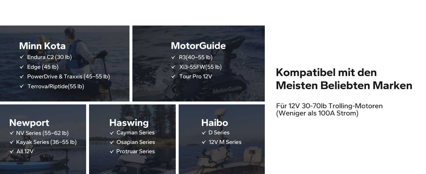 LiFePO4 акумулятор LiTime 12V 100Ah з Bluetooth для кемпінгу, житлових будинків та електромоторів човнів