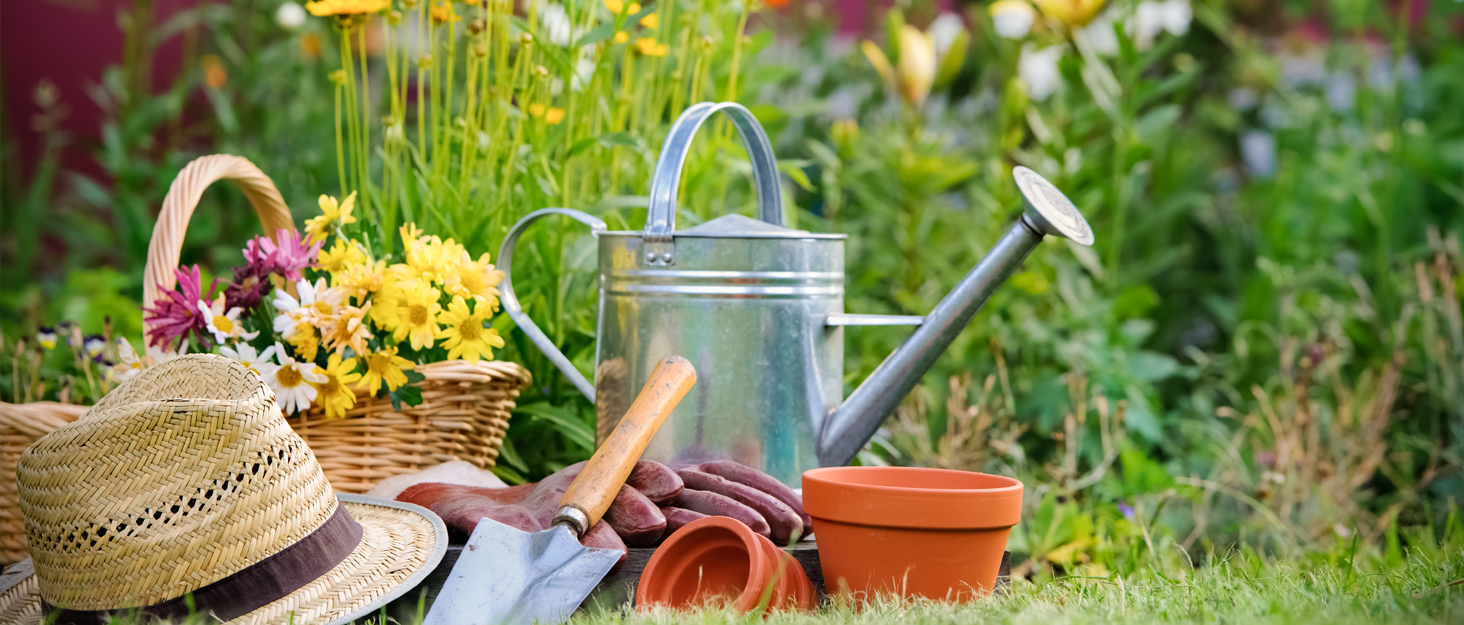 Набір горщиків для квітів 20 см, 5 шт. Чорні пластикові горщики з підставкою та дренажними отворами, 3D-текстура, для монстери, герані та кімнатних рослин, внутрішнє та зовнішнє використання