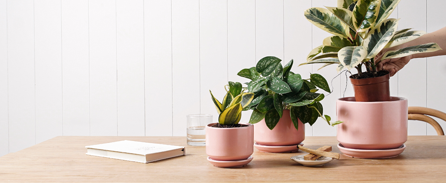 Набір горщиків для квітів LE TAUCI (3 шт.) з кераміки, діаметр 11, 13, 17 см, з підставками та дренажними отворами, реактивна глазур, бежево-рожевий