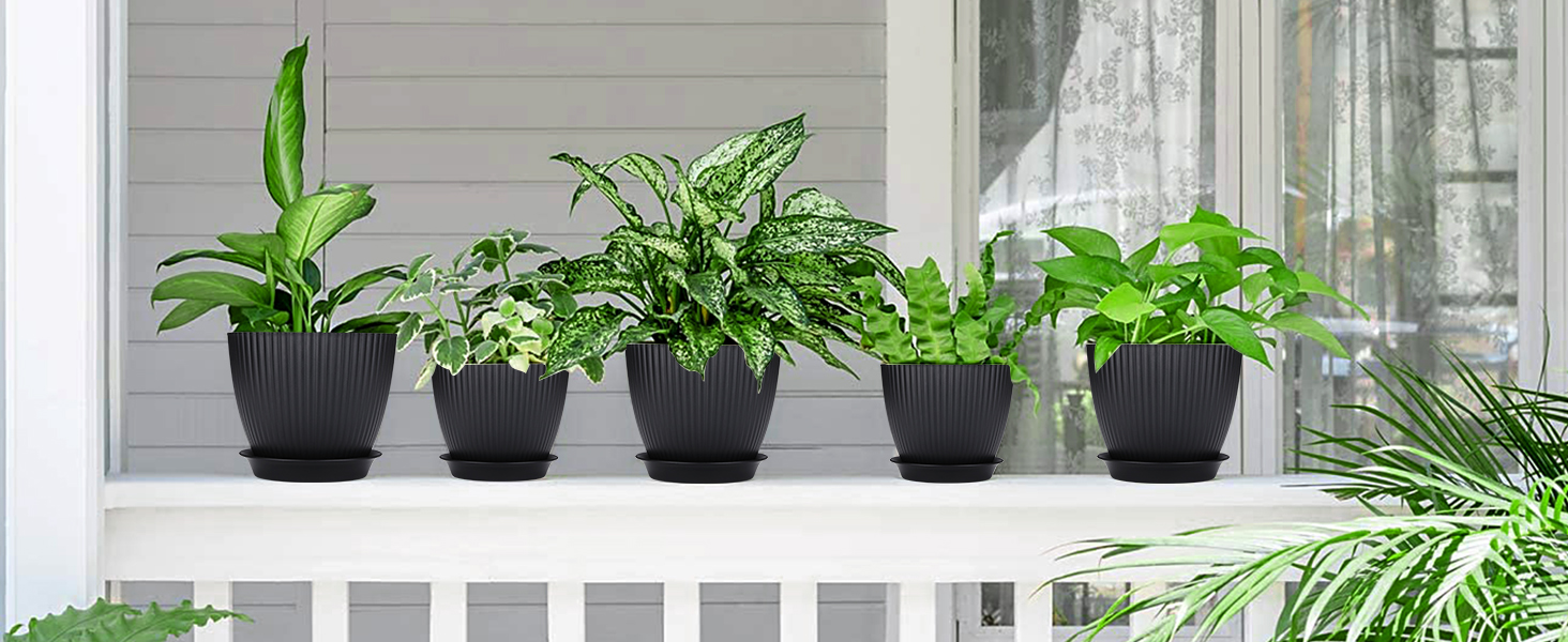 Набір горщиків для квітів з пластику, 8 шт. з отворами, круглі підставки, горщики для кактусів та трав, набір для офісу, балкону, саду, сукулентів, чорний