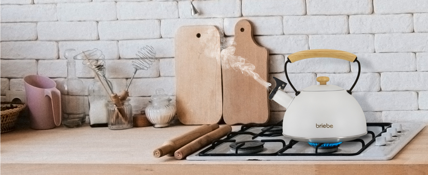 Чайник для води briefe Nordic з whistles-сигналом, 2.3л, нержавіюча сталь, для індукційних та всіх видів плит, ретро-дизайн, ручка Cool-Touch, білий