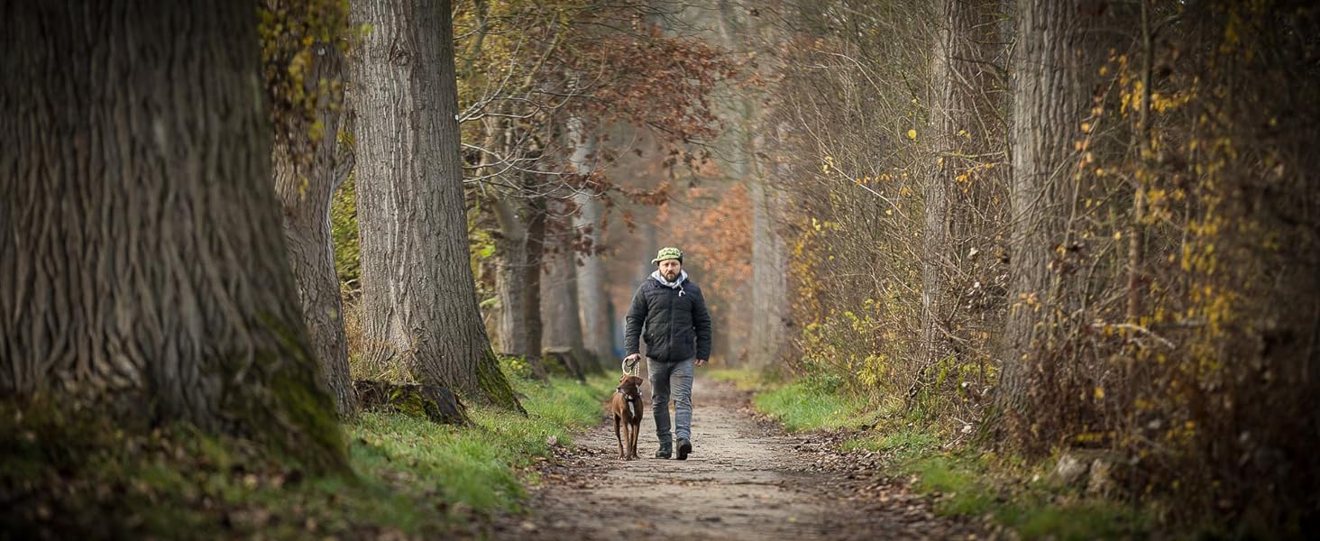 Шкіряний нашийник для собак Jack & Russell з орнаментами XL (48-58 см) коричневий