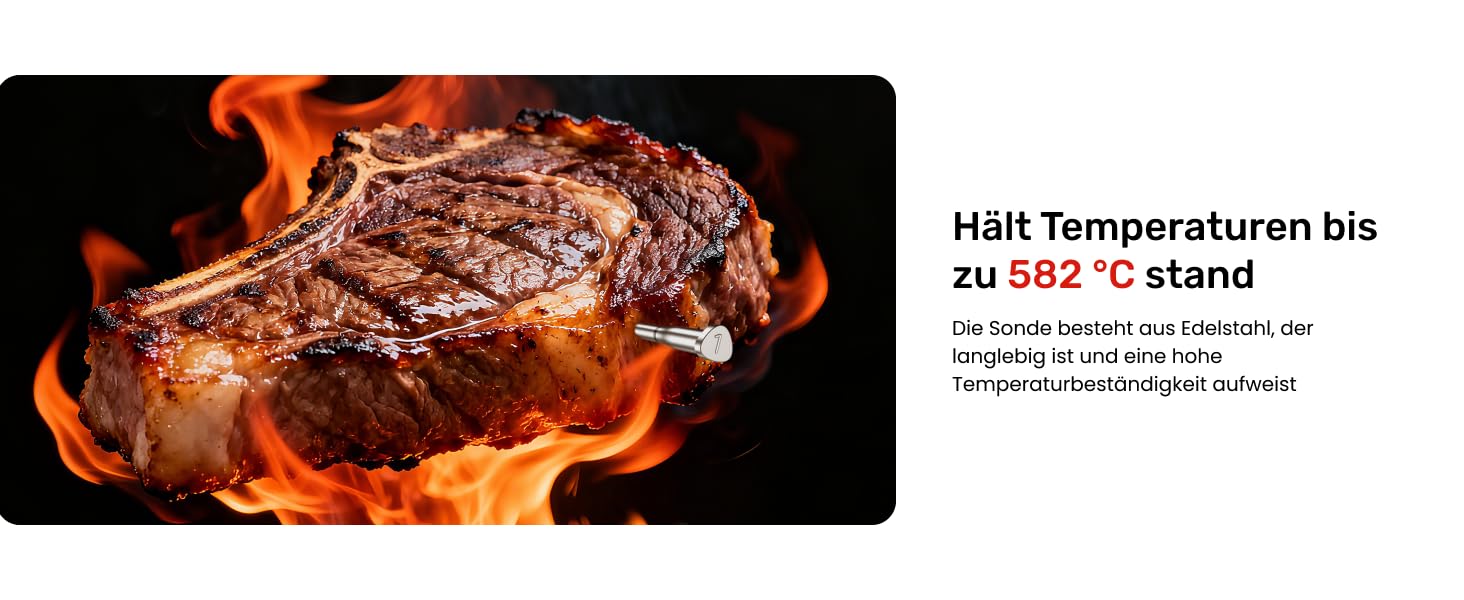 Smart термометр для м'яса Meatmeet X Pro з Bluetooth та Wi-Fi, 2 зонди, 6 сенсорів, нержавіюча сталь, IP69, до 582°C, для гриля, духовки, фритюрниці