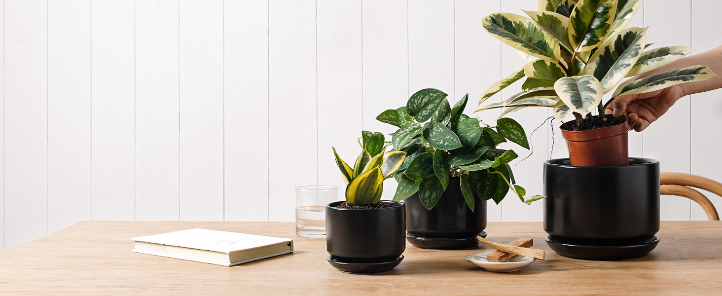 Набір горщиків для квітів LE TAUCI 3шт, кераміка, 11/13/17 см, з підставками та дренажними отворами, реактивна глазур, бежевий (чорний)