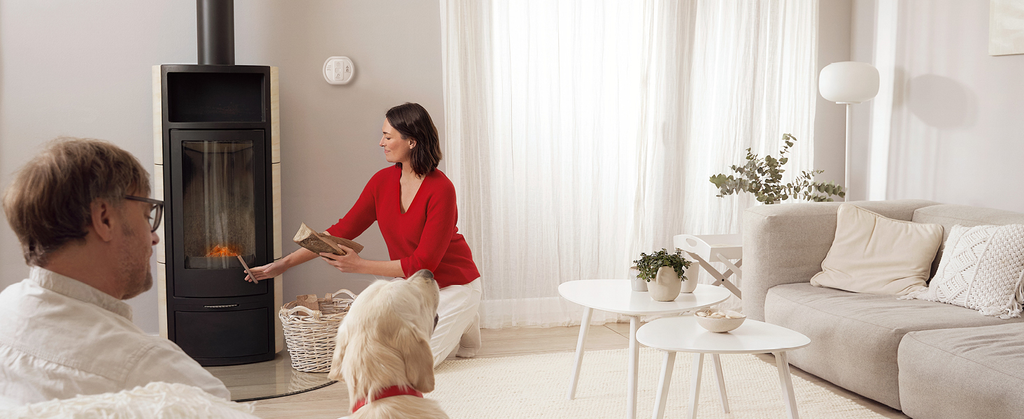 Датчик виявлення CO Ei Electronics Ei208D з LCD-дисплеєм та батареєю на 10 років, автономний, білий