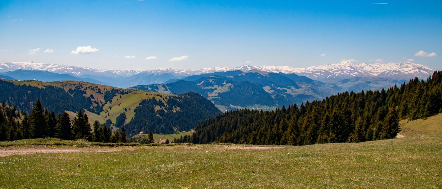 Сховище для кемпінгу Timber Ridge: складаний кухонний ящик для автомобіля, чорний
