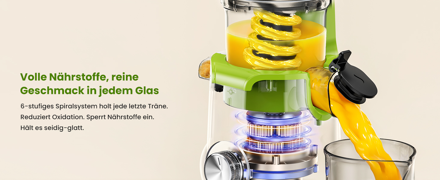 LINKChef Швидковичавник Slow Juicer: холодний віджим, для овочів та фруктів, легко миється, BPA Free, 200W (зелений)